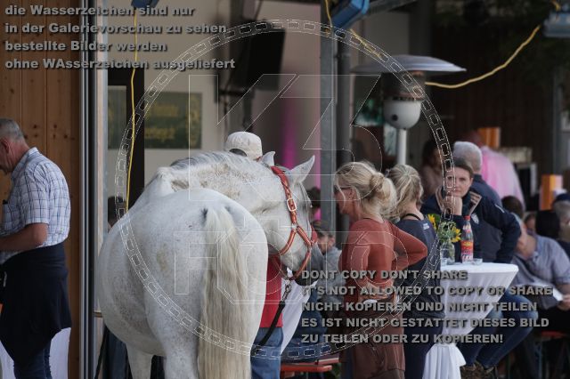 a_DSC06029.JPG